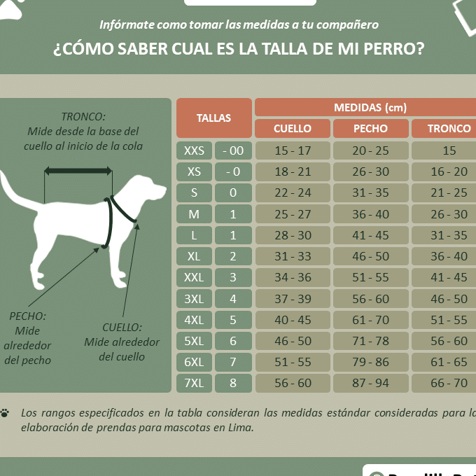 Cómo Saber La Talla De Mi Perro