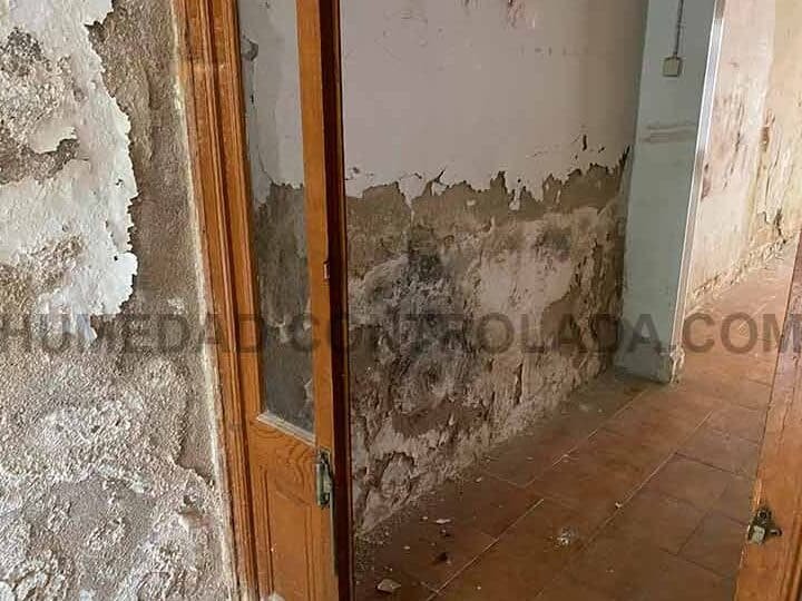 Como Tapar una Pared con Humedad