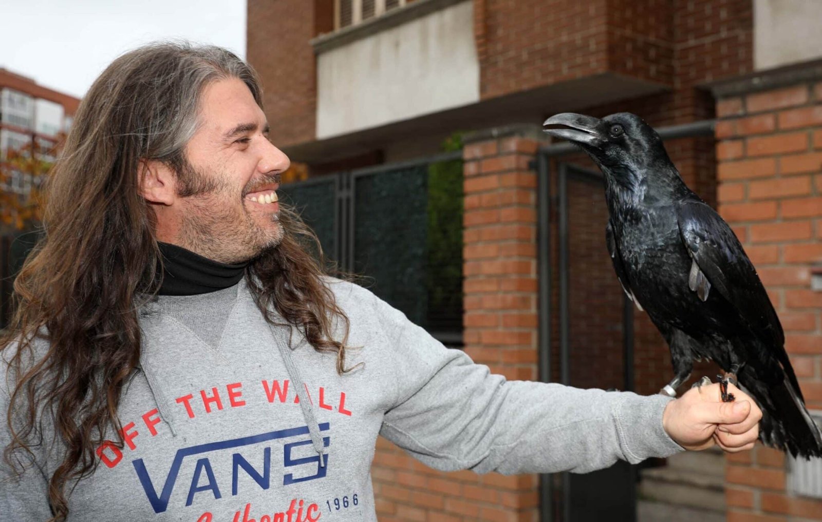 Como Tener un Cuervo de Mascota