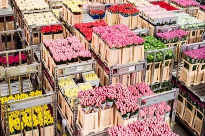 Consejos para Transportar Flores por Tierra: Cuidados y Recomendaciones