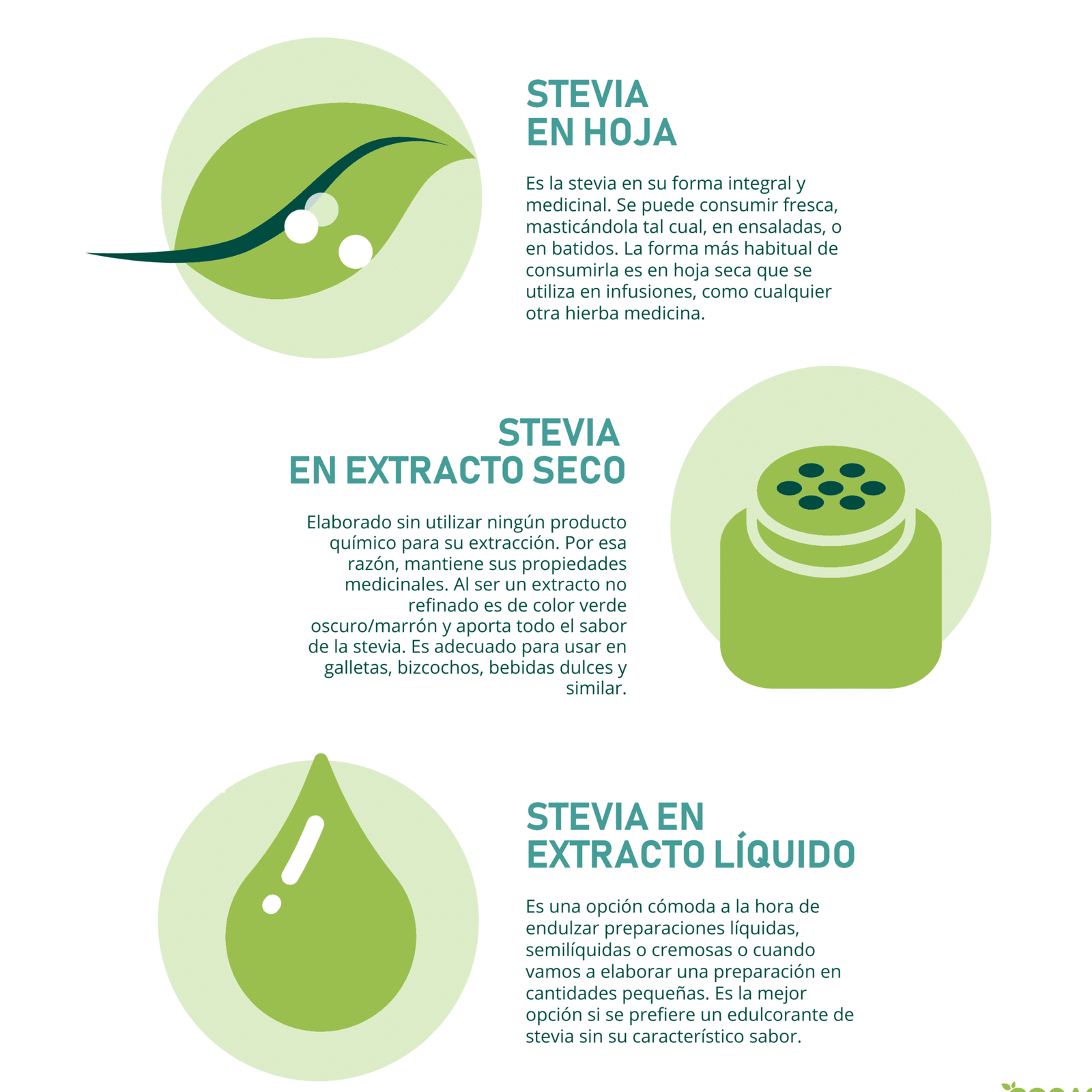 Endulza de forma saludable: Cómo incorporar Stevia en tus recetas de repostería