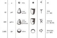 ¡Explora el mundo de los elásticos y su evolución! Descubre cómo surgieron