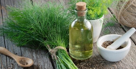 Guía completa: Cómo aprovechar al máximo el eneldo en tus recetas