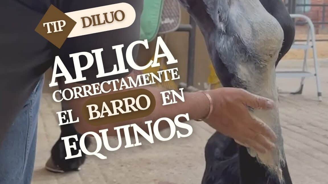 Guía completa: Cómo beneficiarte del barro equino en tu cuidado de la piel
