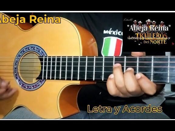 Guía completa: Cómo tocar ‘Abeja Reina’ en guitarra paso a paso