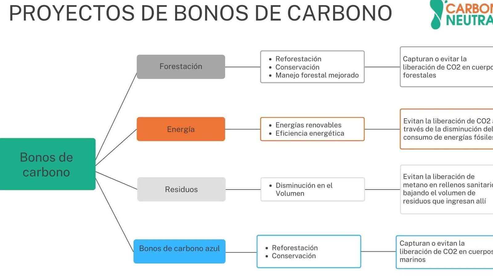 Guía Completa: Cómo Vender Bonos de Carbono y Contribuir a la Sostenibilidad Ambiental