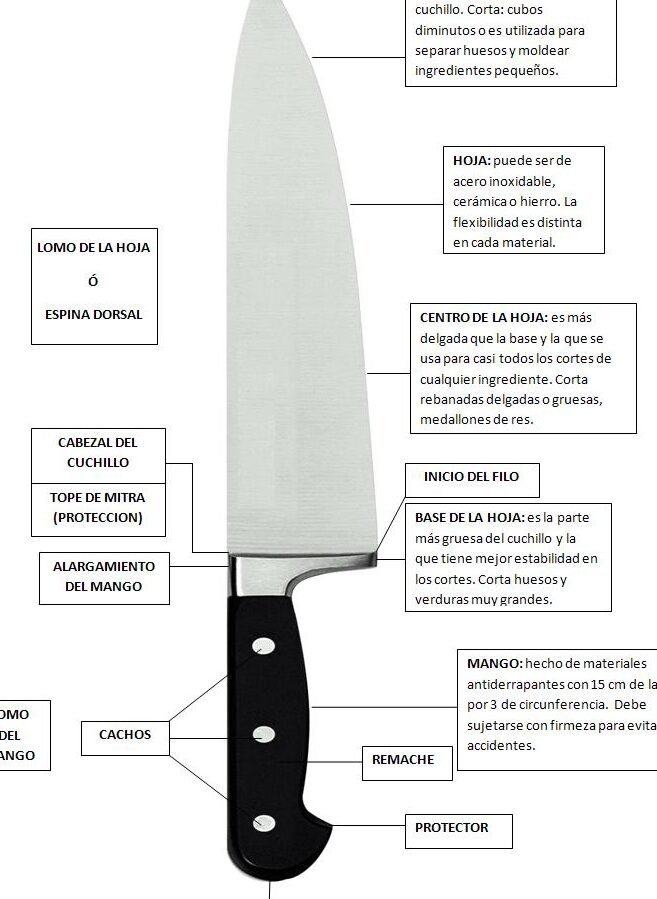 Guía Práctica: Cómo Transportar Cuchillos de Cocina de Forma Segura