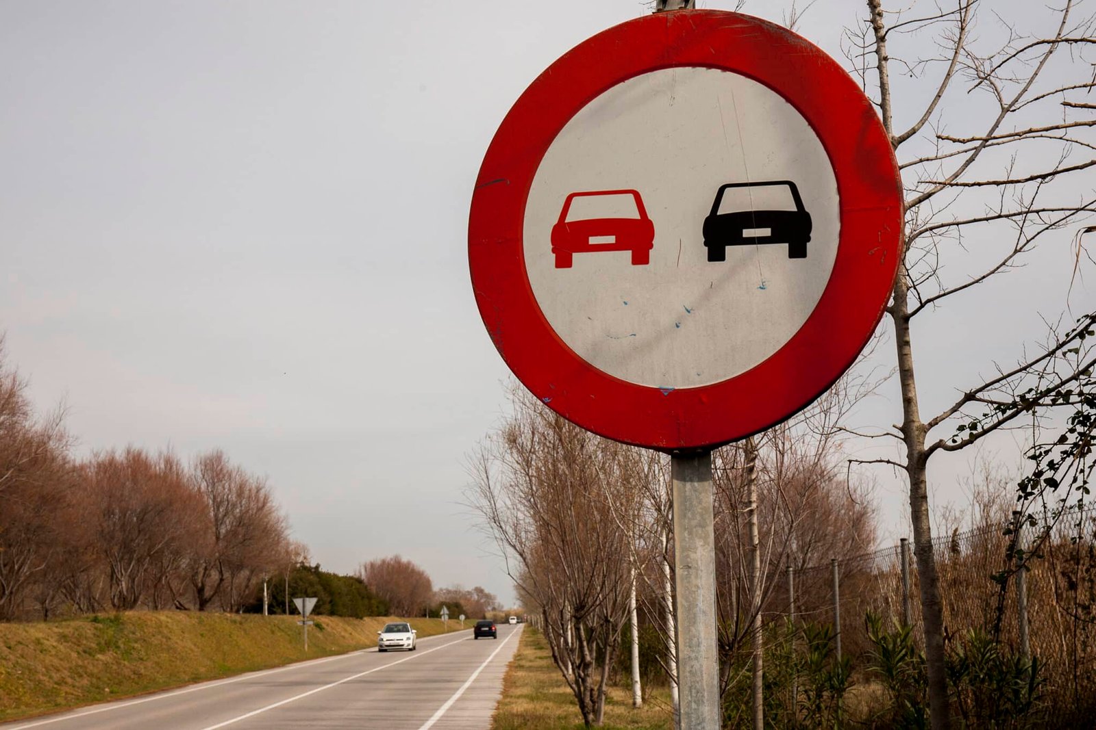 Seguridad en la Carretera: Cómo Señalizar Correctamente en el Tráfico